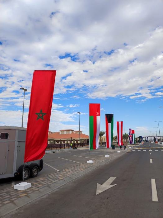 Country flags on street poles for an event
